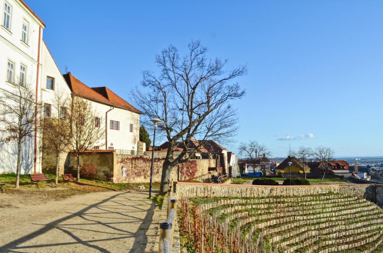 Apartments 3 In The Historic Part Of Зноймо Екстер'єр фото